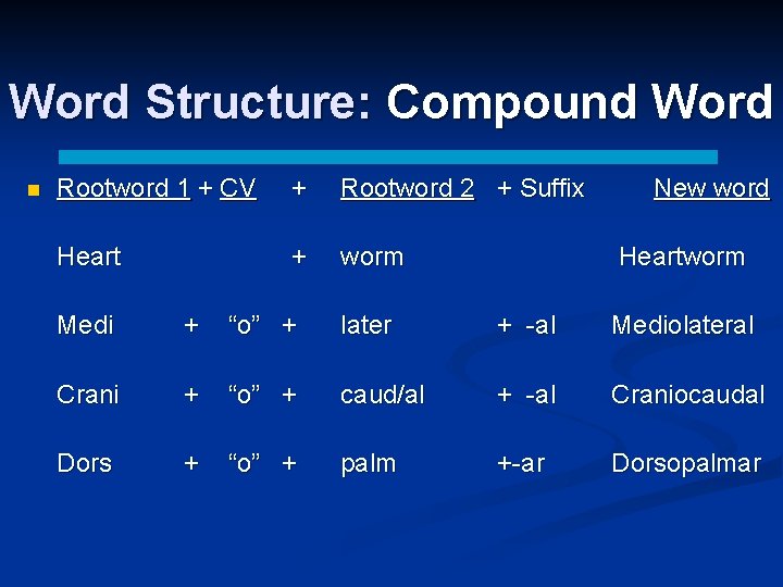 Word Structure: Compound Word n Rootword 1 + CV + Rootword 2 + Suffix