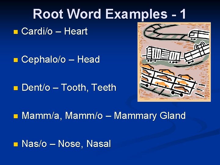 Root Word Examples - 1 n Cardi/o – Heart n Cephalo/o – Head n