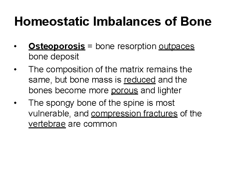 Homeostatic Imbalances of Bone • • • Osteoporosis = bone resorption outpaces bone deposit Homeostatic Imbalances of Bone • • • Osteoporosis = bone resorption outpaces bone deposit