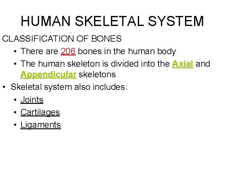 HUMAN SKELETAL SYSTEM CLASSIFICATION OF BONES • There are 206 bones in the human