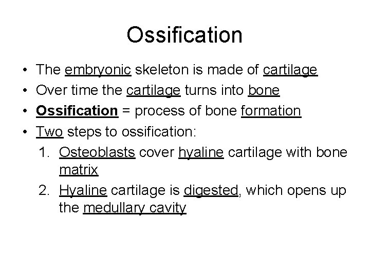 Ossification • • The embryonic skeleton is made of cartilage Over time the cartilage