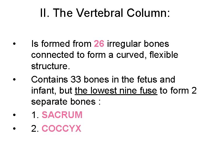 II. The Vertebral Column: • • Is formed from 26 irregular bones connected to