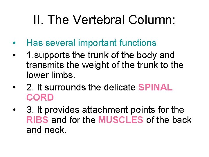 II. The Vertebral Column: • • Has several important functions 1. supports the trunk II. The Vertebral Column: • • Has several important functions 1. supports the trunk