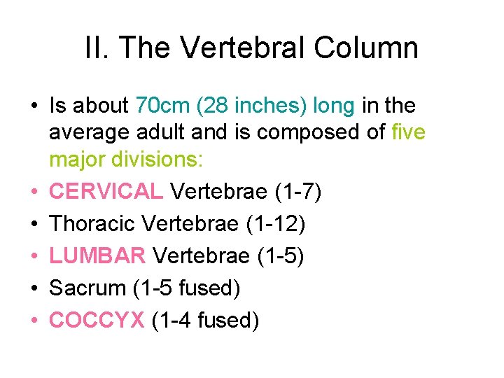 II. The Vertebral Column • Is about 70 cm (28 inches) long in the