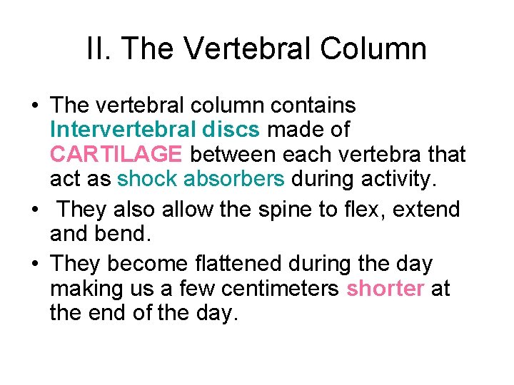 II. The Vertebral Column • The vertebral column contains Intervertebral discs made of CARTILAGE