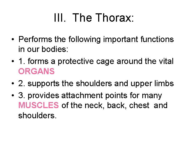 III. The Thorax: • Performs the following important functions in our bodies: • 1.