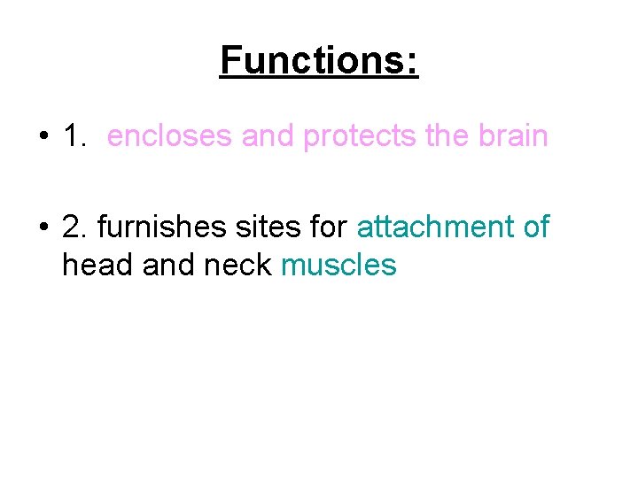 Functions: • 1. encloses and protects the brain • 2. furnishes sites for attachment