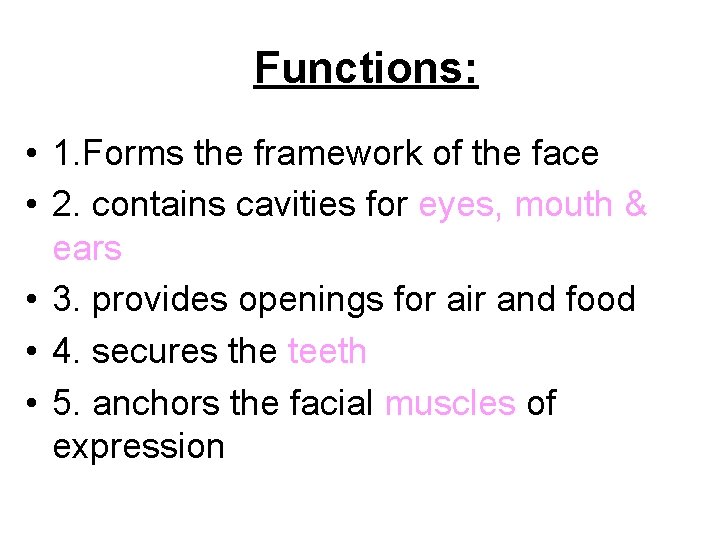 Functions: • 1. Forms the framework of the face • 2. contains cavities for Functions: • 1. Forms the framework of the face • 2. contains cavities for