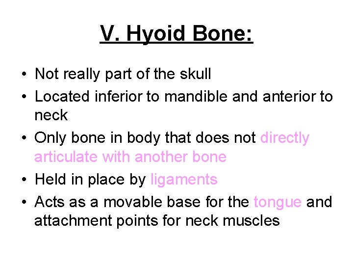 V. Hyoid Bone: • Not really part of the skull • Located inferior to