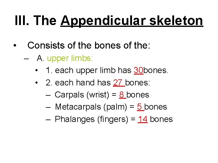 III. The Appendicular skeleton • Consists of the bones of the: – A. upper