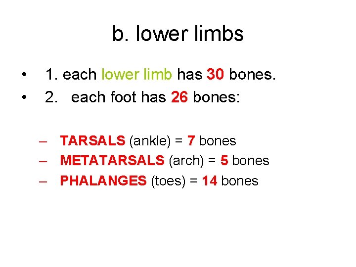 b. lower limbs • • 1. each lower limb has 30 bones. 2. each