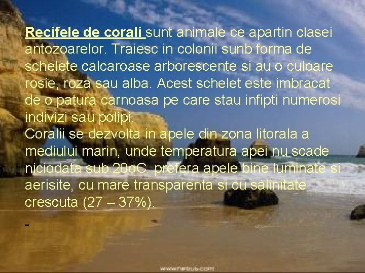Recifele de corali sunt animale ce apartin clasei antozoarelor. Traiesc in colonii sunb forma