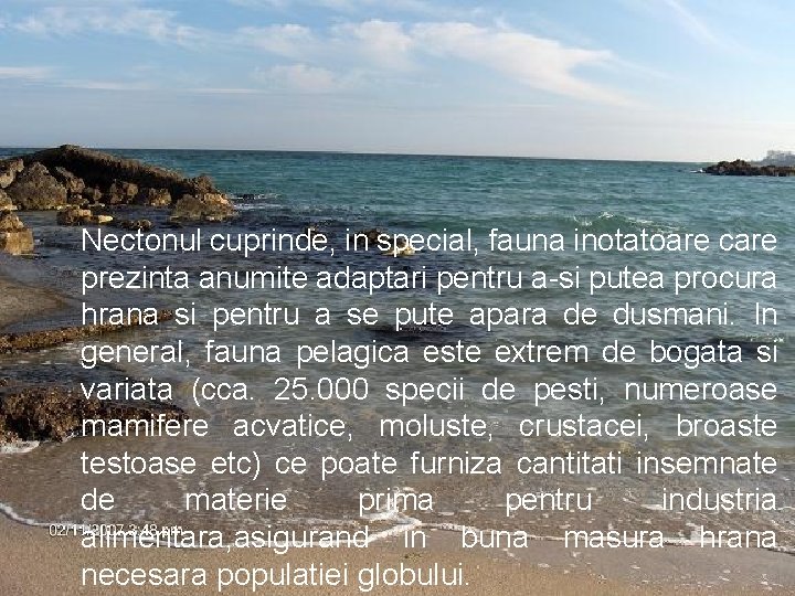 Nectonul cuprinde, in special, fauna inotatoare care prezinta anumite adaptari pentru a-si putea procura