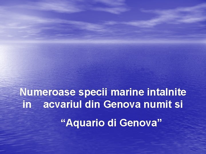  Numeroase specii marine intalnite in acvariul din Genova numit si “Aquario di Genova”