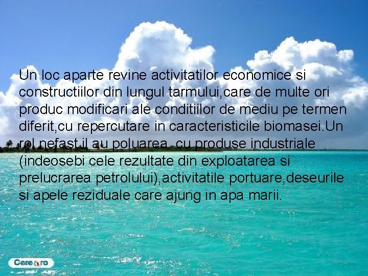 Un loc aparte revine activitatilor economice si constructiilor din lungul tarmului, care de multe