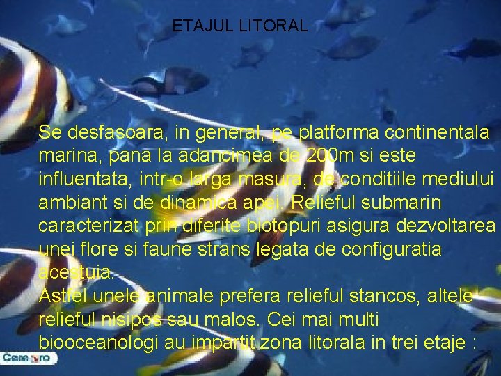 ETAJUL LITORAL Se desfasoara, in general, pe platforma continentala marina, pana la adancimea de