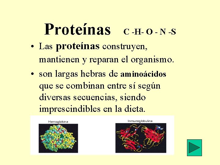 Proteínas C -H- O - N -S • Las proteínas construyen, mantienen y reparan