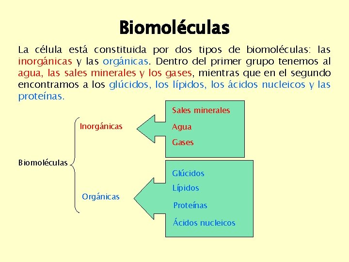 Biomoléculas La célula está constituida por dos tipos de biomoléculas: las inorgánicas y las