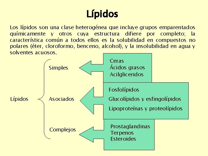 Lípidos Los lípidos son una clase heterogénea que incluye grupos emparentados químicamente y otros