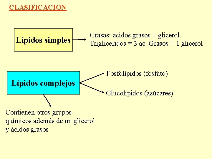 CLASIFICACION Lípidos simples Grasas: ácidos grasos + glicerol. Triglicéridos = 3 ac. Grasos +