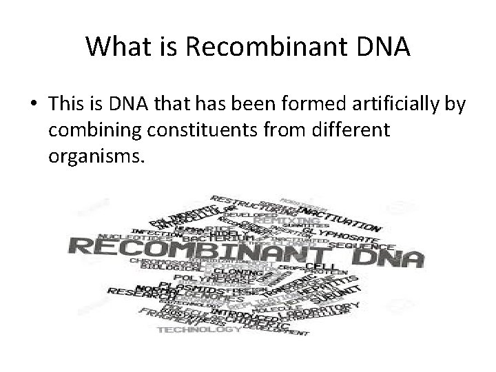 What is Recombinant DNA • This is DNA that has been formed artificially by