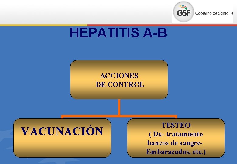 HEPATITIS A-B ACCIONES DE CONTROL VACUNACIÓN TESTEO ( Dx- tratamiento bancos de sangre. Embarazadas,