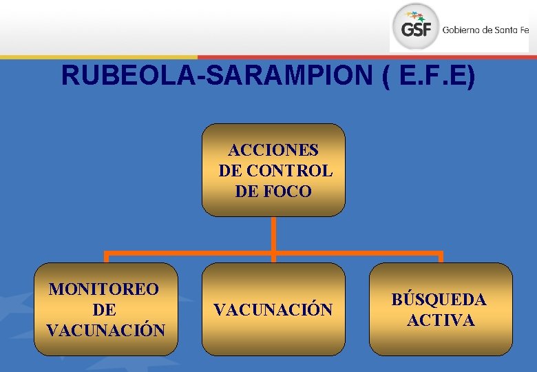 RUBEOLA-SARAMPION ( E. F. E) ACCIONES DE CONTROL DE FOCO MONITOREO DE VACUNACIÓN BÚSQUEDA