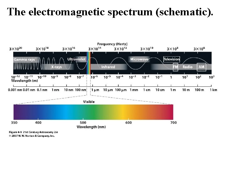 The electromagnetic spectrum (schematic). 