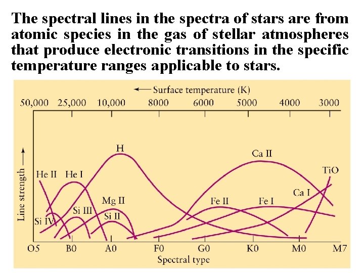 The spectral lines in the spectra of stars are from atomic species in the