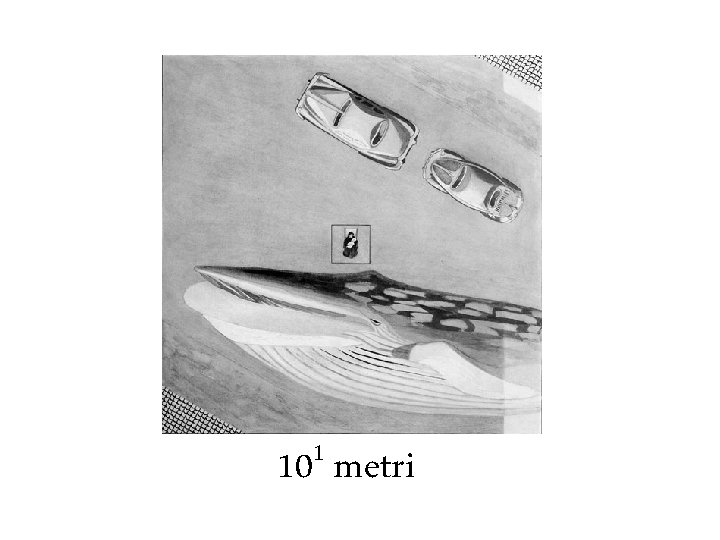 1 10 metri 