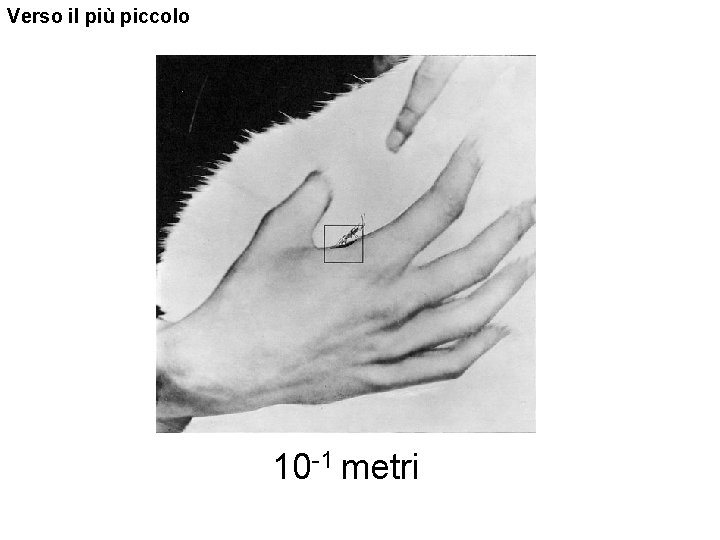 Verso il più piccolo 10 -1 metri 