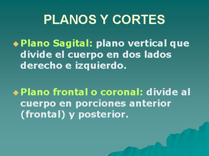 PLANOS Y CORTES u Plano Sagital: plano vertical que divide el cuerpo en dos