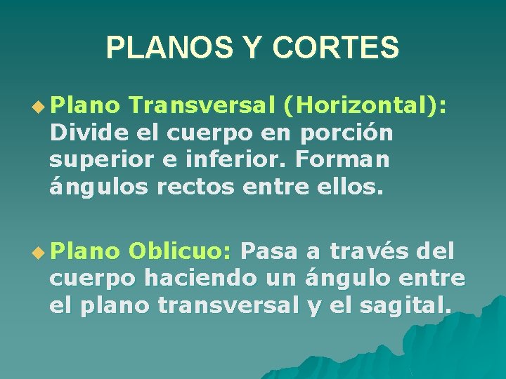 PLANOS Y CORTES u Plano Transversal (Horizontal): Divide el cuerpo en porción superior e