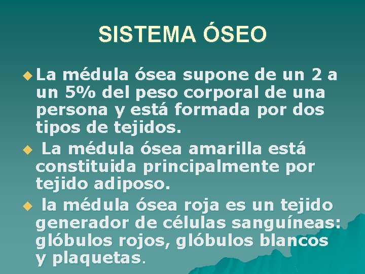 SISTEMA ÓSEO u La médula ósea supone de un 2 a un 5% del