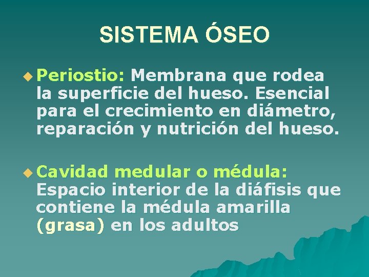 SISTEMA ÓSEO u Periostio: Membrana que rodea la superficie del hueso. Esencial para el