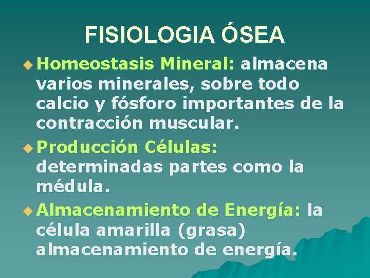 FISIOLOGIA ÓSEA u Homeostasis Mineral: almacena varios minerales, sobre todo calcio y fósforo importantes