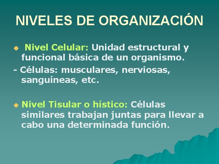 NIVELES DE ORGANIZACIÓN Nivel Celular: Unidad estructural y funcional básica de un organismo. -