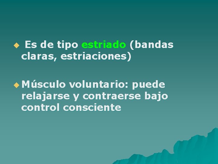 u Es de tipo estriado (bandas claras, estriaciones) u Músculo voluntario: puede relajarse y