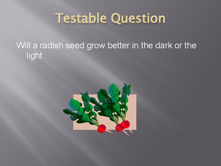 Testable Question Will a radish seed grow better in the dark or the light