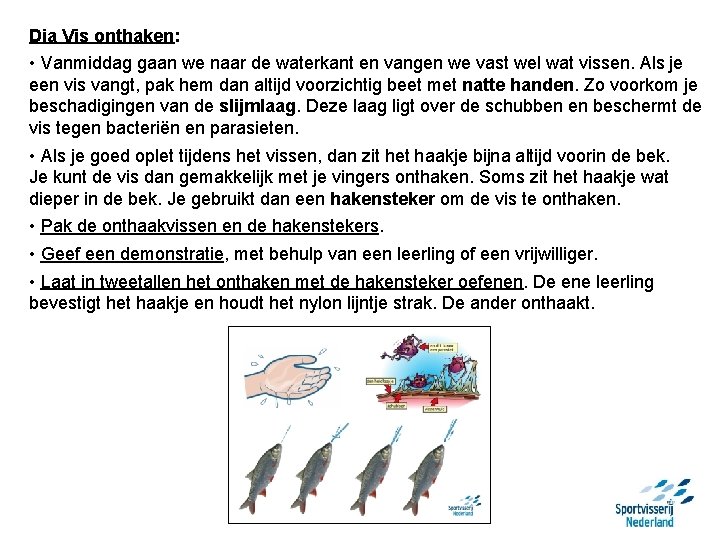 Dia Vis onthaken: • Vanmiddag gaan we naar de waterkant en vangen we vast