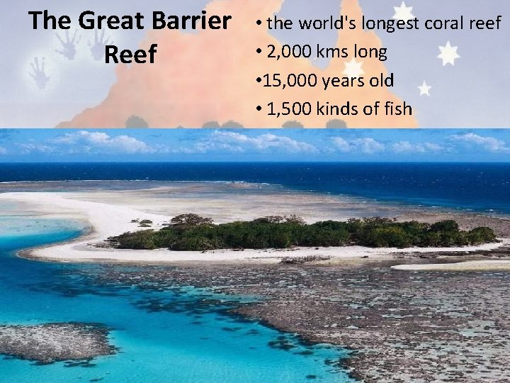 The Great Barrier Reef • the world's longest coral reef • 2, 000 kms