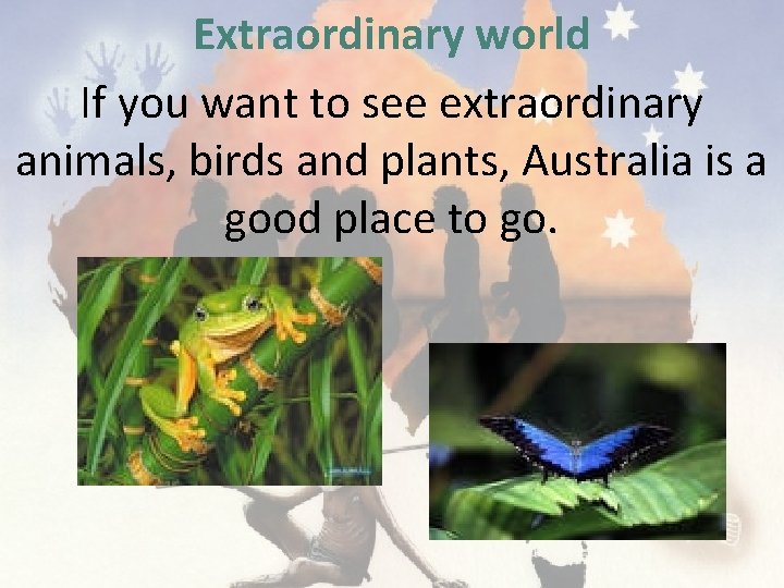 Extraordinary world If you want to see extraordinary animals, birds and plants, Australia is