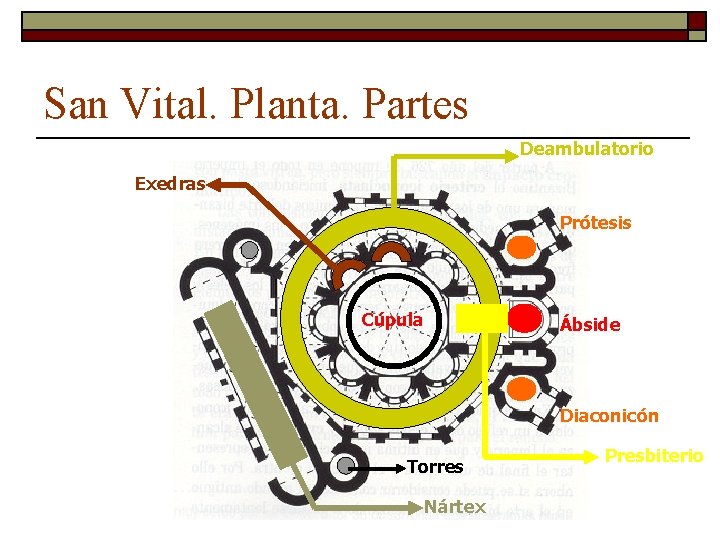 San Vital. Planta. Partes Deambulatorio Exedras Prótesis Cúpula Ábside Diaconicón Torres Nártex Presbiterio 