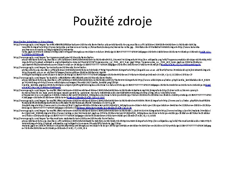 Použité zdroje http: //mikro. jaknahmyz. cz/zivocichove http: //www. google. com/imgres? q=m%C 4%9 B%C 5%88