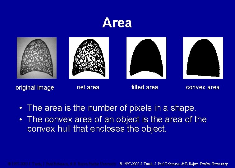 Area original image net area filled area convex area • The area is the