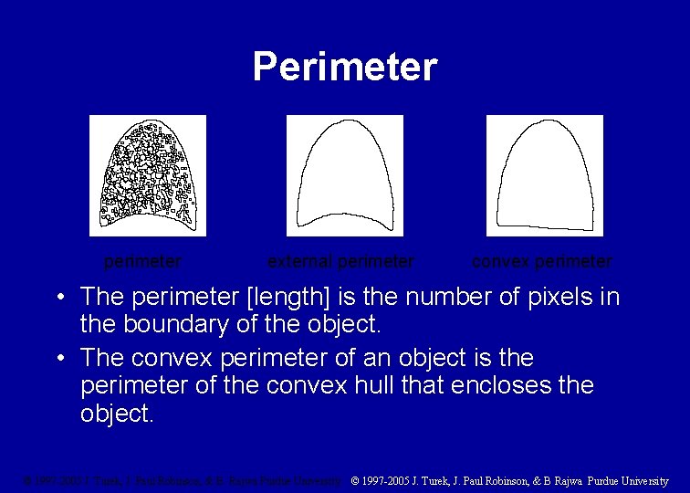 Perimeter perimeter external perimeter convex perimeter • The perimeter [length] is the number of