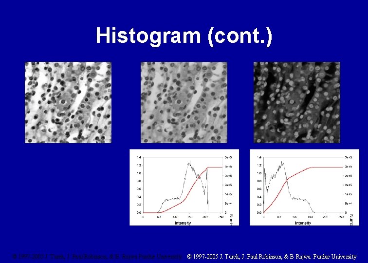 Histogram (cont. ) © 1997 -2005 J. Turek, J. Paul Robinson, & B. Rajwa