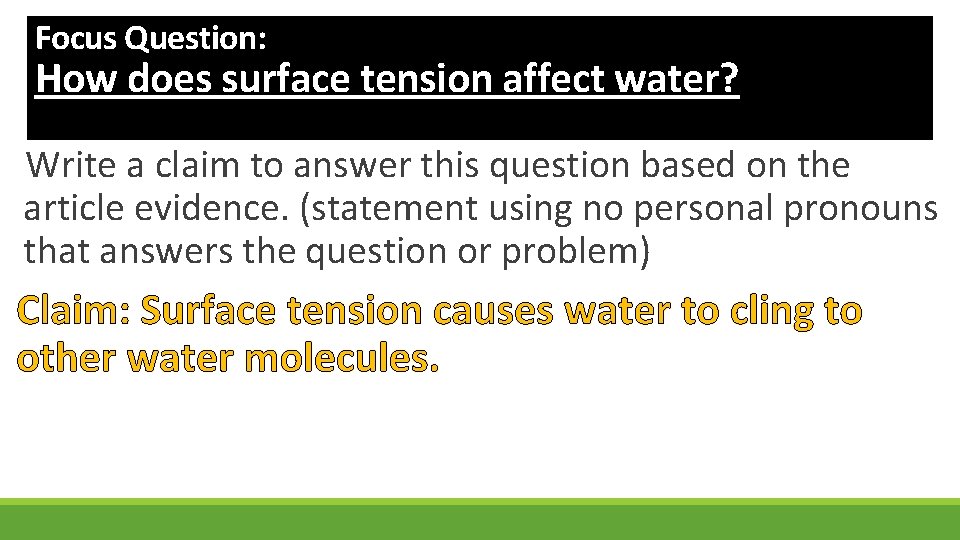 Focus Question: How does surface tension affect water? Write a claim to answer this