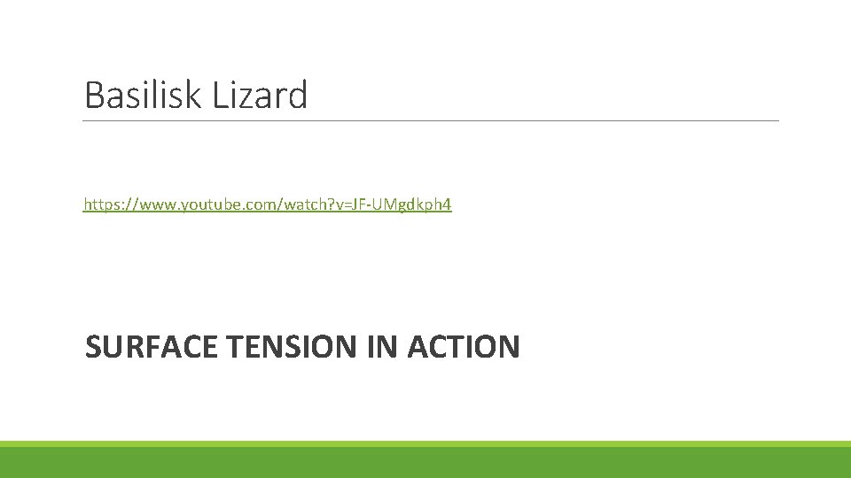 Basilisk Lizard https: //www. youtube. com/watch? v=JF-UMgdkph 4 SURFACE TENSION IN ACTION 