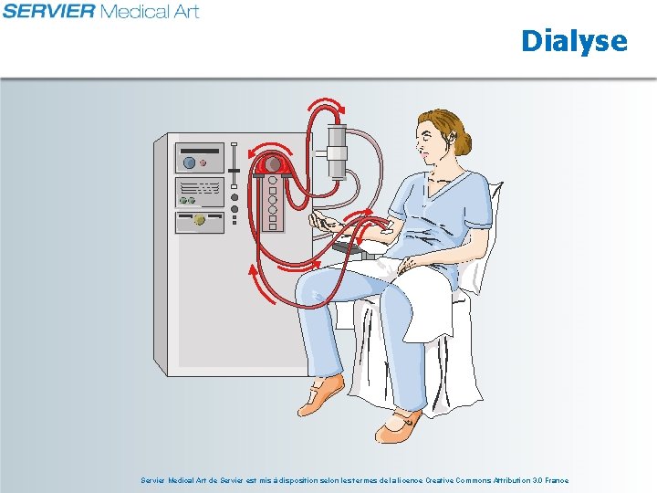 Dialyse Servier Medical Art de Servier est mis à disposition selon les termes de